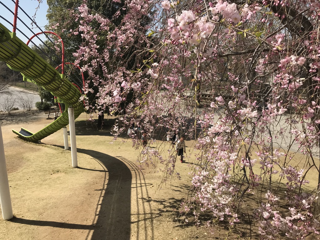 春岡中央公園